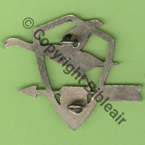 502 GARA.502 AMIENS  SM 2Anneaux Dos lisse irreg strie 30x38mm Src.Y.GENTY 210Eur(x7) 